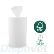 Handdoekrol centerfeed mini 1 laags, 12 rollen | Dispovet