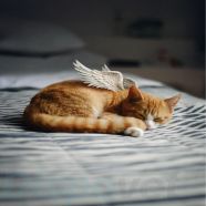 Euthabag® condoleancekaartjes