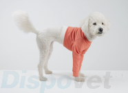 Luna & Milo CopperBody Front Legs #0/1