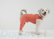 Luna & Milo CopperBody Hind Legs #1