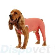 Luna & Milo CopperBody Hind Legs #00