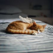 Euthabag® condoleancekaartjes