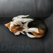 Euthabag® condoleancekaartjes